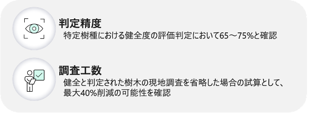 樹木健全度実証実験